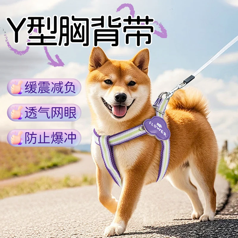 【宠大条】狗狗外出彩虹趣味Y型牵引胸背带中小型犬遛狗绳宠物狗绳