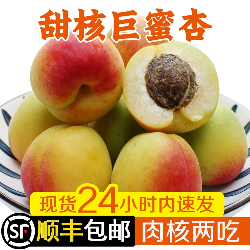 中条山现摘新鲜水果杏子巨蜜杏小白杏甜核红杏送礼整箱顺丰包邮