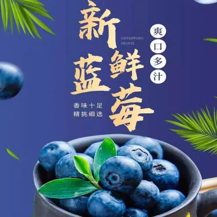 云南蓝莓新鲜当季水果批发一整箱超大号大果鲜果孕妇宝宝辅食明目