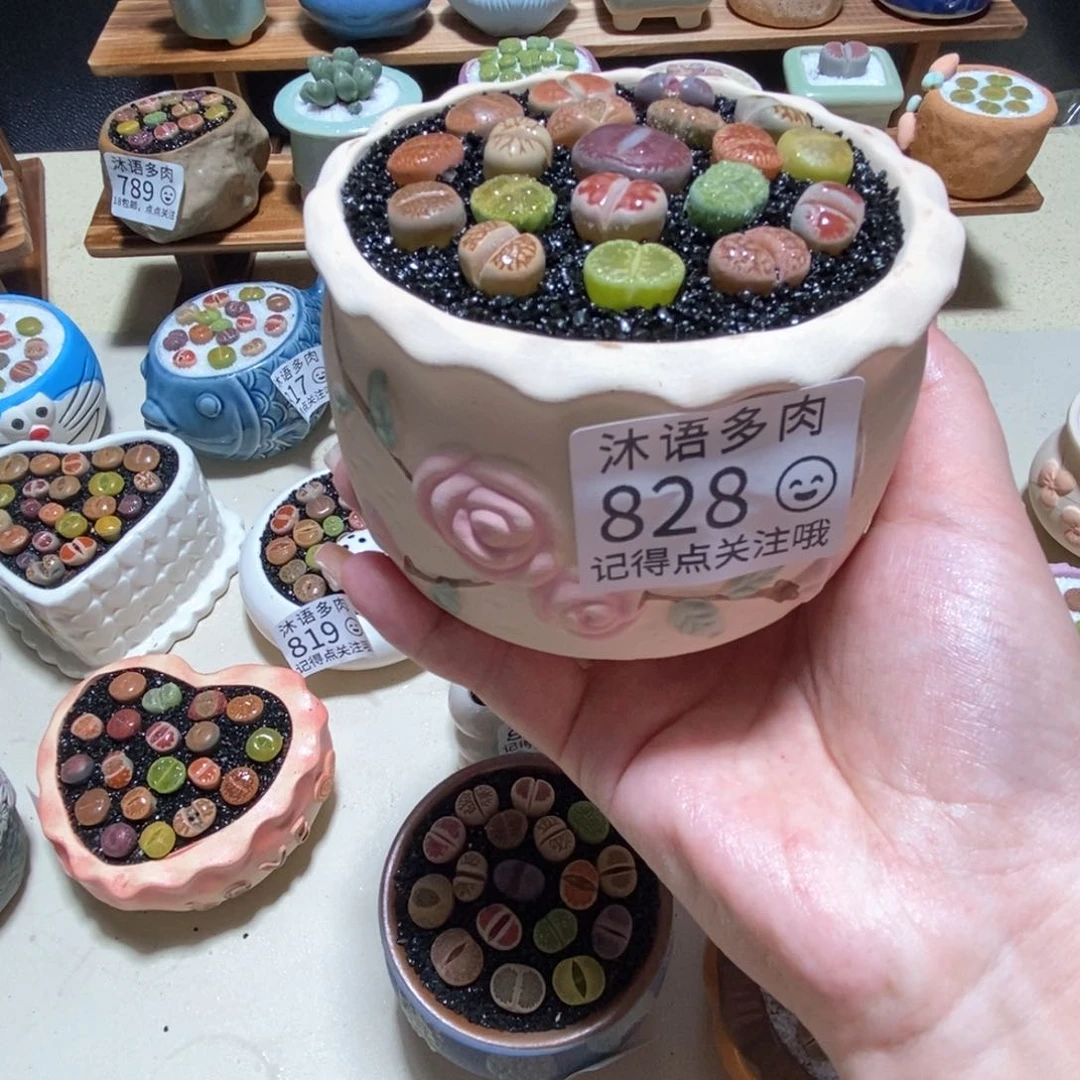 所见即所得 一物一拍828