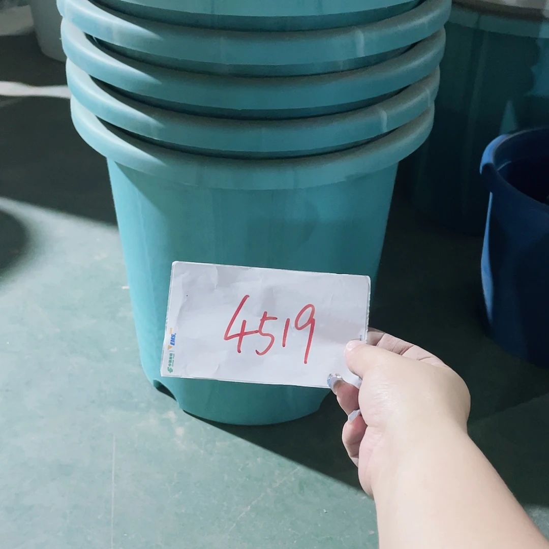 如****由编号是4519的编号