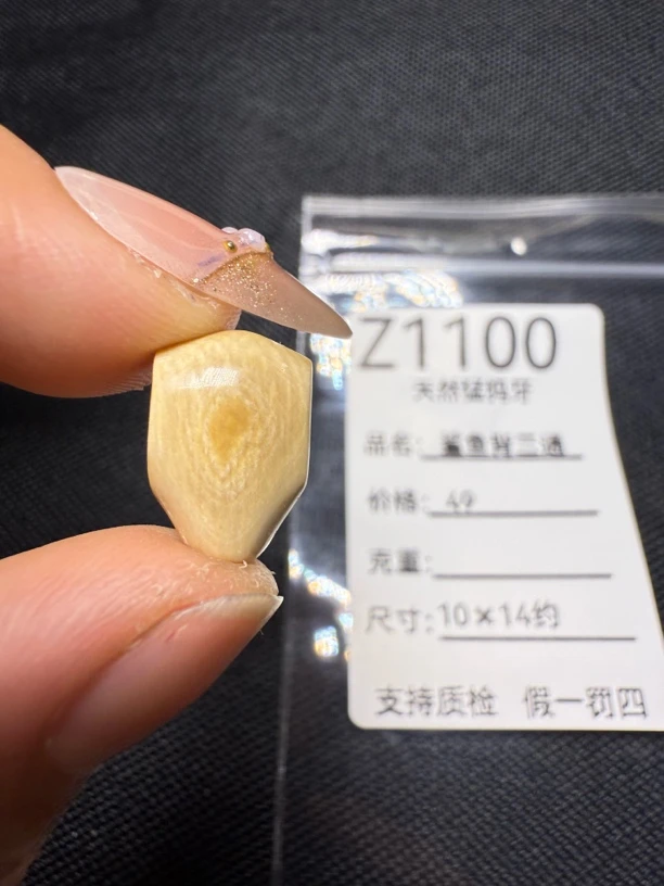 Z1100天然猛犸牙黄鲨鱼背三通配饰