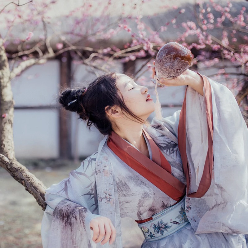 银狐魏晋风汉服女侠风仙气对襟齐腰襦裙广袖流仙裙大袖衫夏中国风