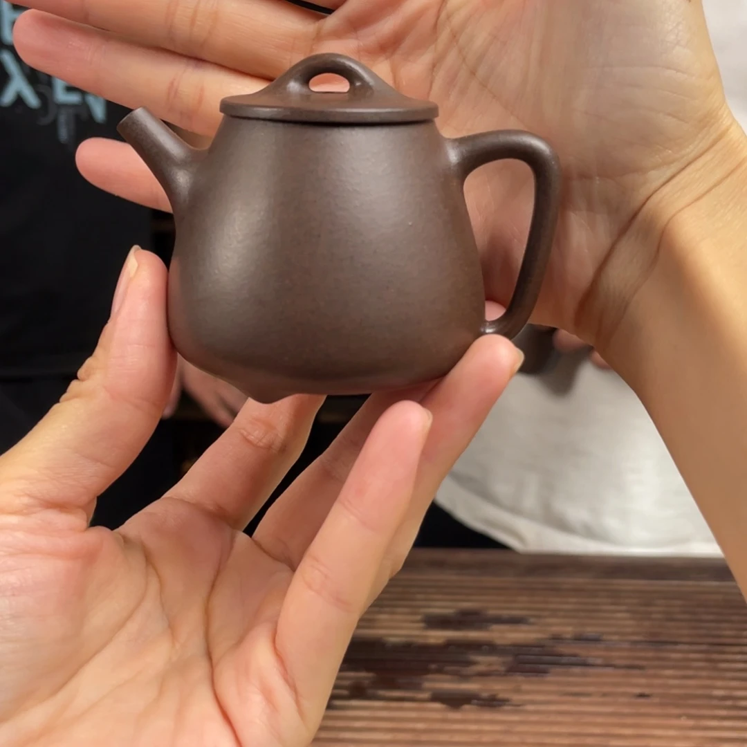 茶壶紫砂黑星土高石瓢