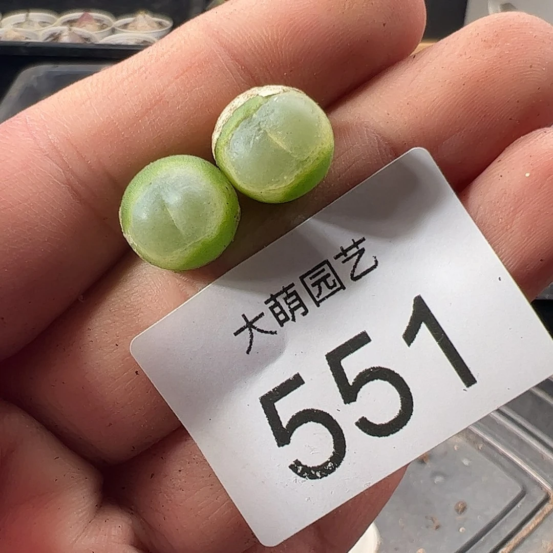 一物一拍清盒福利默认有瑕551
