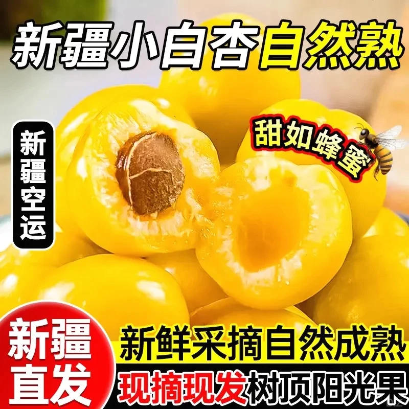【京东空运直达】新疆小白杏水果产地直发当季新鲜水果夏季消暑水果