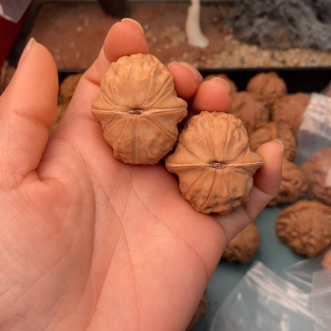 文玩核桃吊坠龟甲纹21