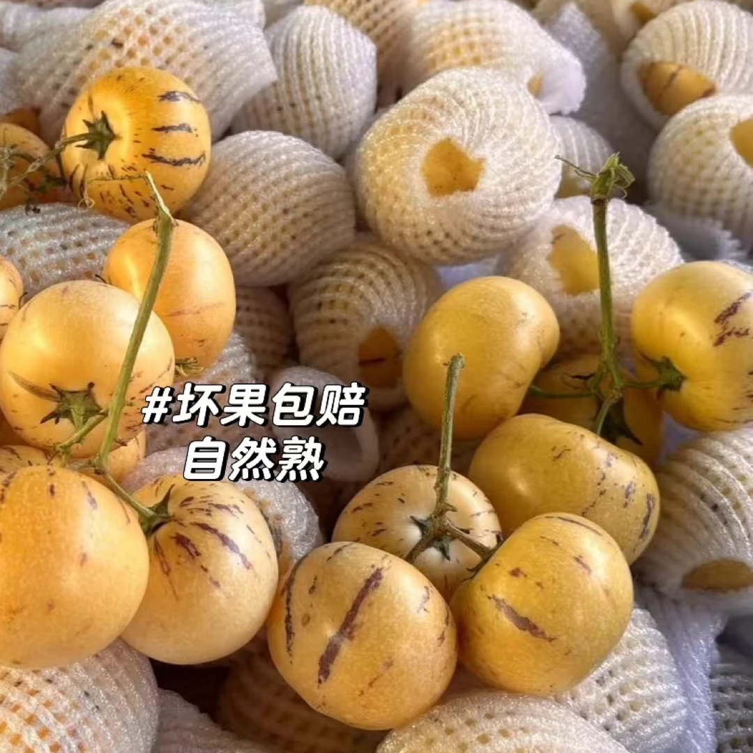 云南石林红土地新鲜树上熟人参果不甜包赔坏果包赔人参果鲜果水果