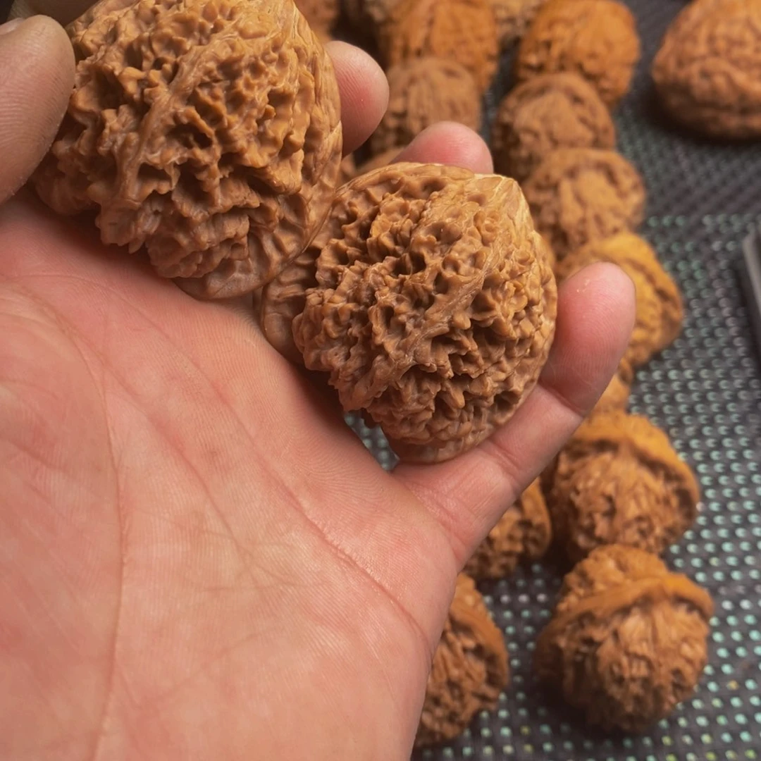 文玩核桃。满天星核桃