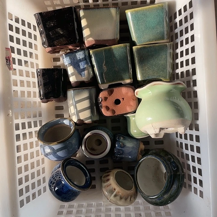 【闪购商品】拇指花盆