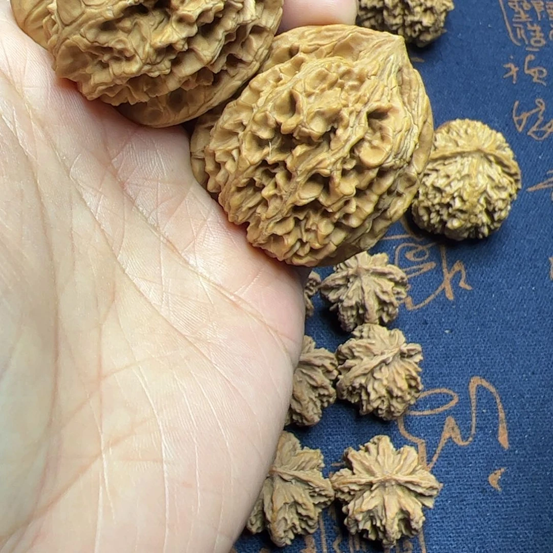 文玩核桃把件秦岭野生植物核桃