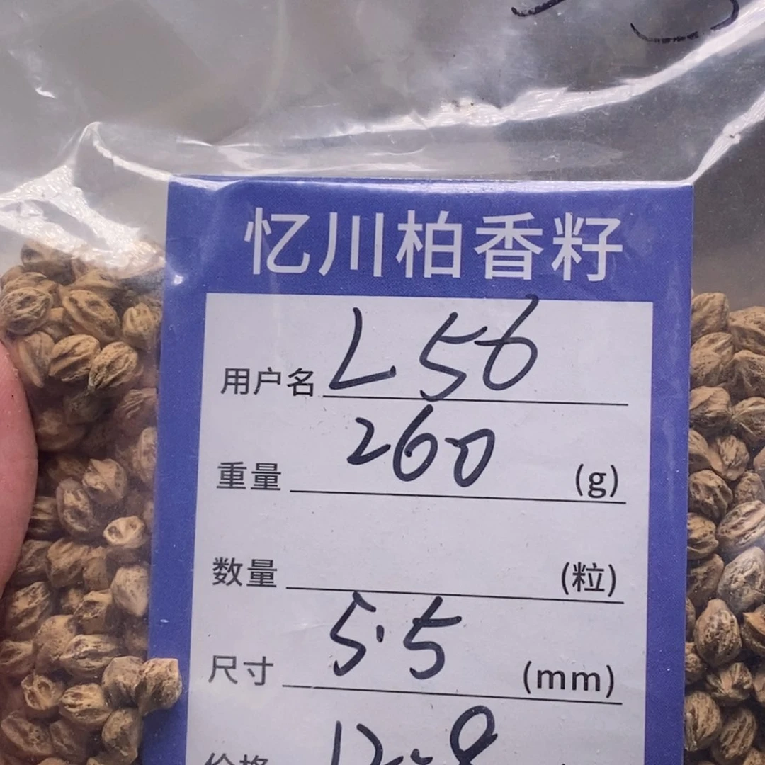 柏香籽/百香籽吊坠L*6