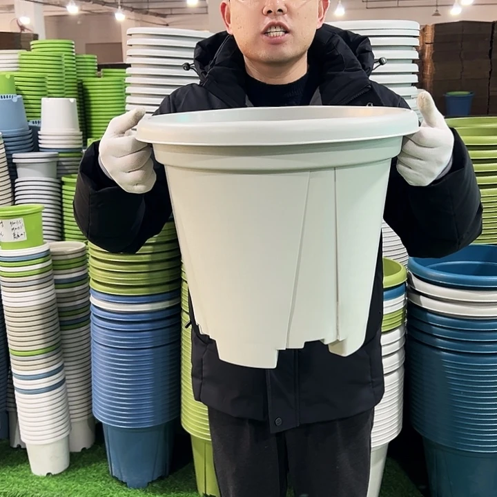 清仓青山口40高34灰白色3只无托