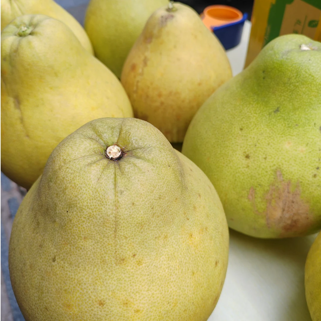 四川乡村柚子通天柚香甜可口