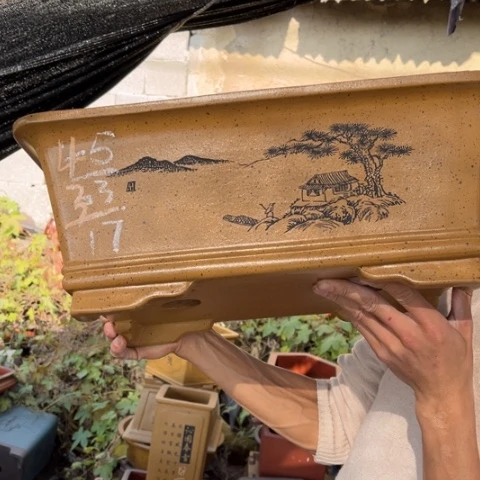花盆紫砂特价包邮送盒