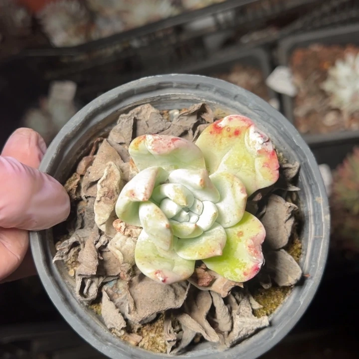 346哈哈哈哈哈哈哈