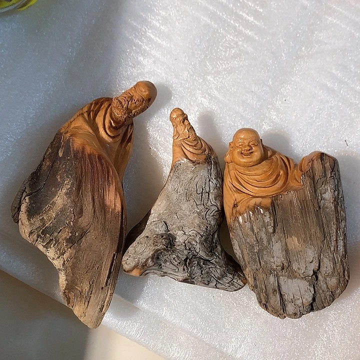 柏木（崖柏）周11111111111