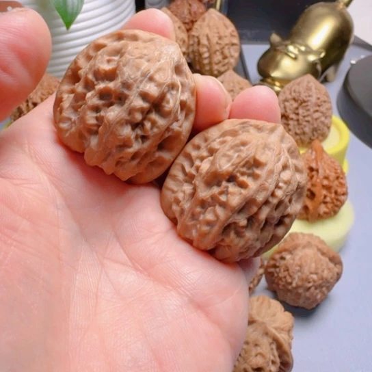 靠山王骨质好文玩