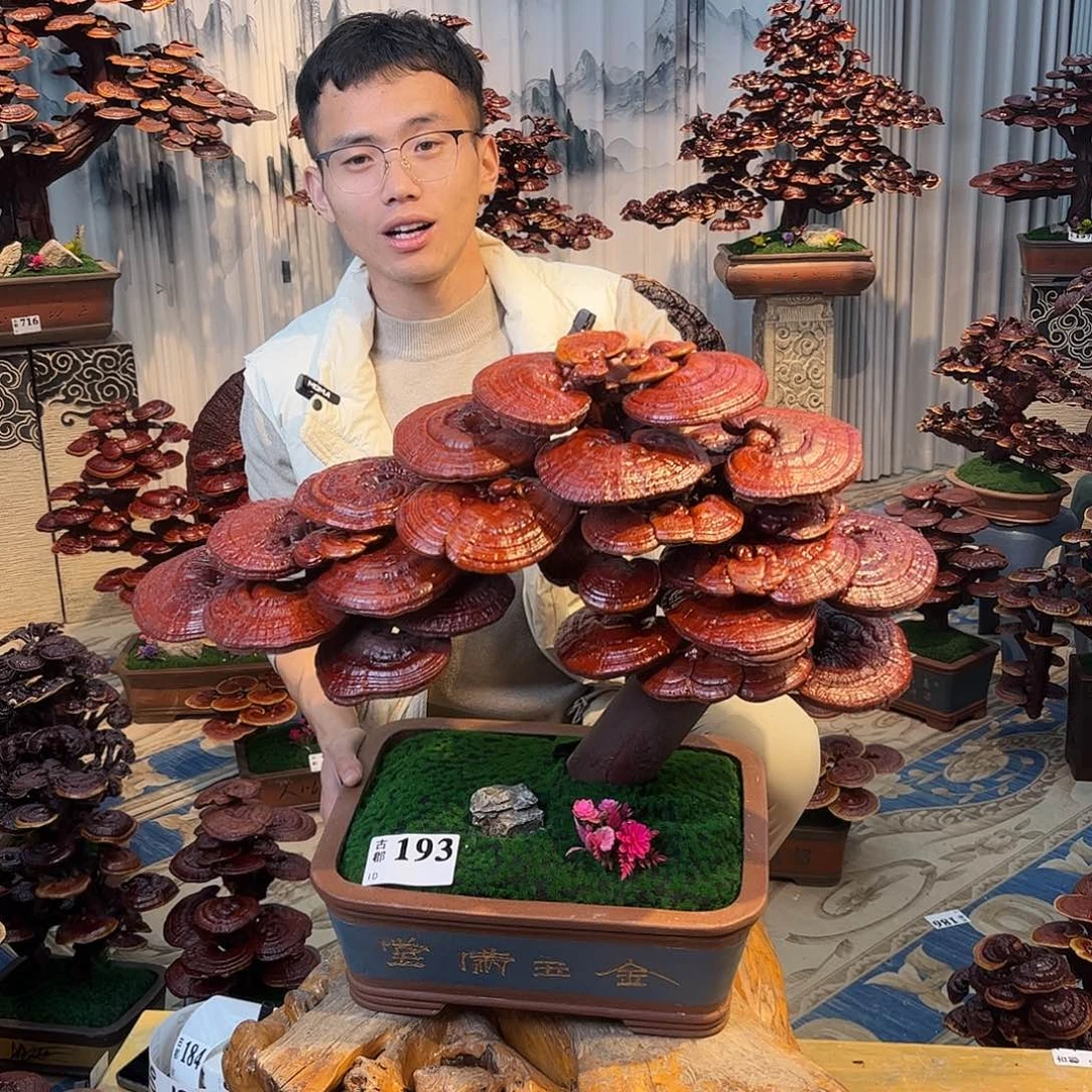 无花朵88888888888