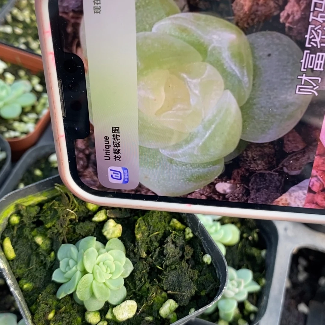标1677财富19号一个