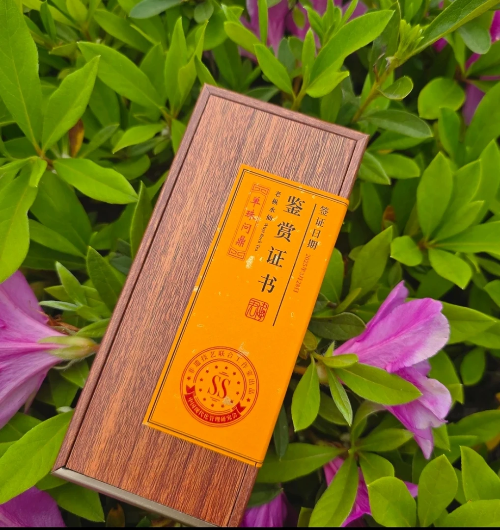 君九思丨单株问鼎丨老枞水仙 17克2泡木盒装