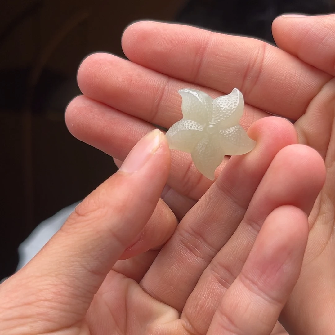 和田玉吊坠(不含链)未镶嵌海星