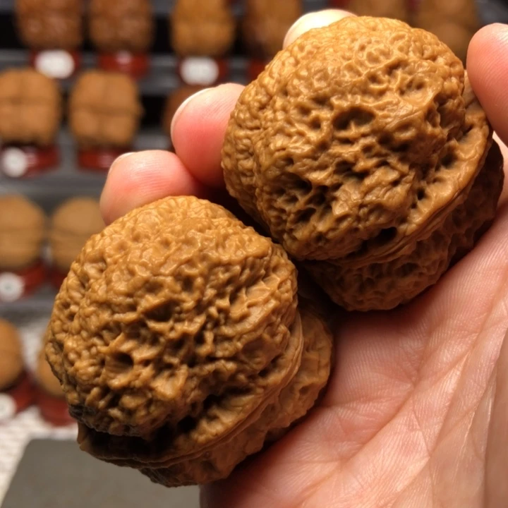 文玩核桃把件27古树蚂蚁开背金蟾