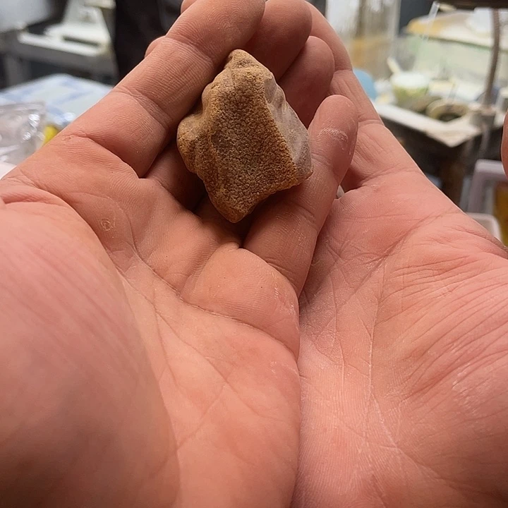 杨***红定制琥珀未镶嵌天然琥珀蜜蜡