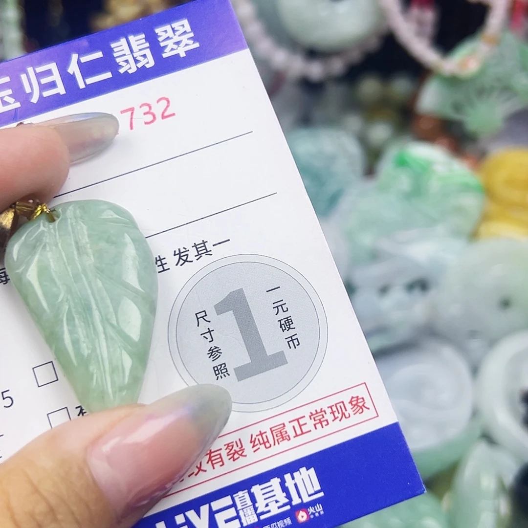 翡翠未镶嵌吊坠(不含链)Wqqq