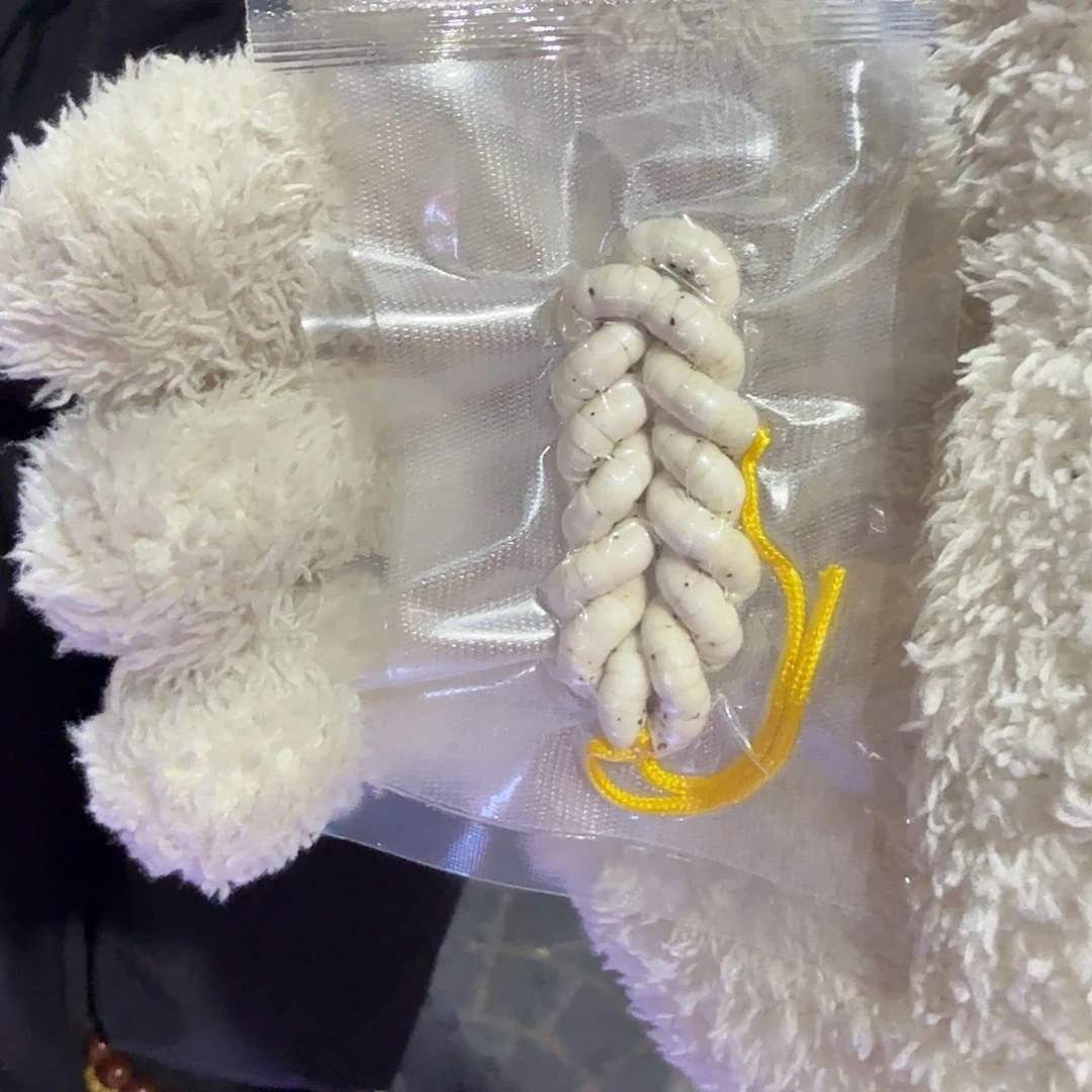 吊坠星月菩提5大肠数星星