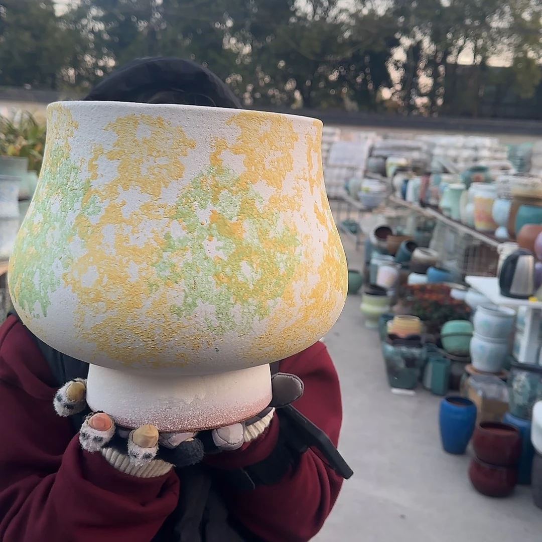 王嫂花盆1229-313高25口22