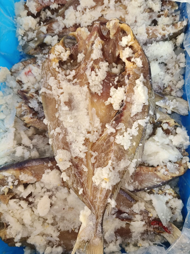 糟黄姑子鱼秘制薄盐顺丰包邮淡咸自然风干海鲜干货