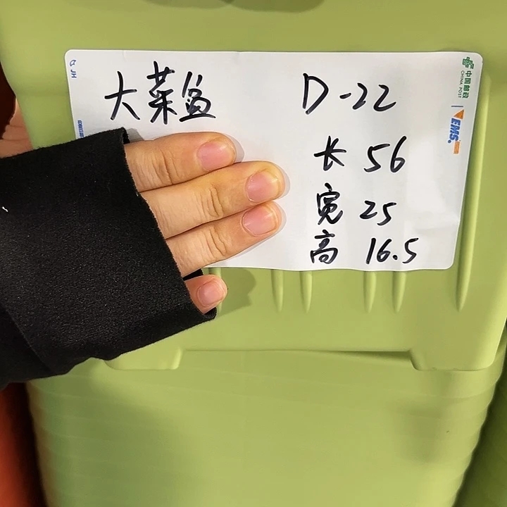 菜盆长55宽25高16.5果绿色3个