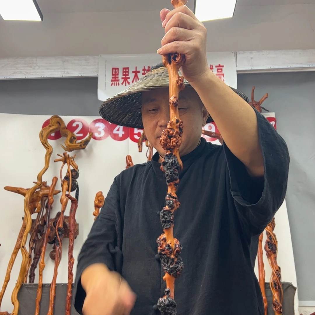 沉***人黑果木其他黑果木468