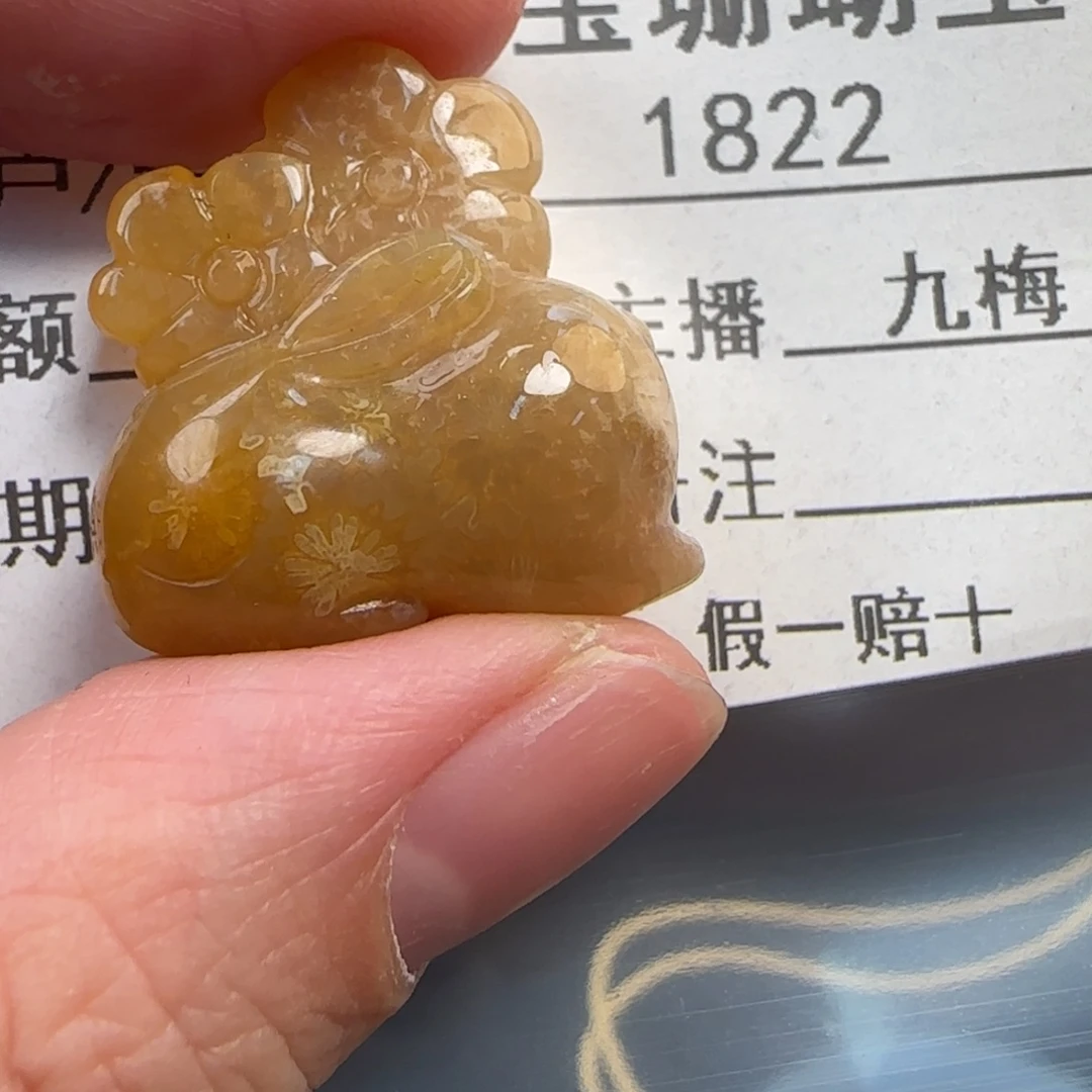 硅化珊瑚（珊瑚玉）未镶嵌颈饰