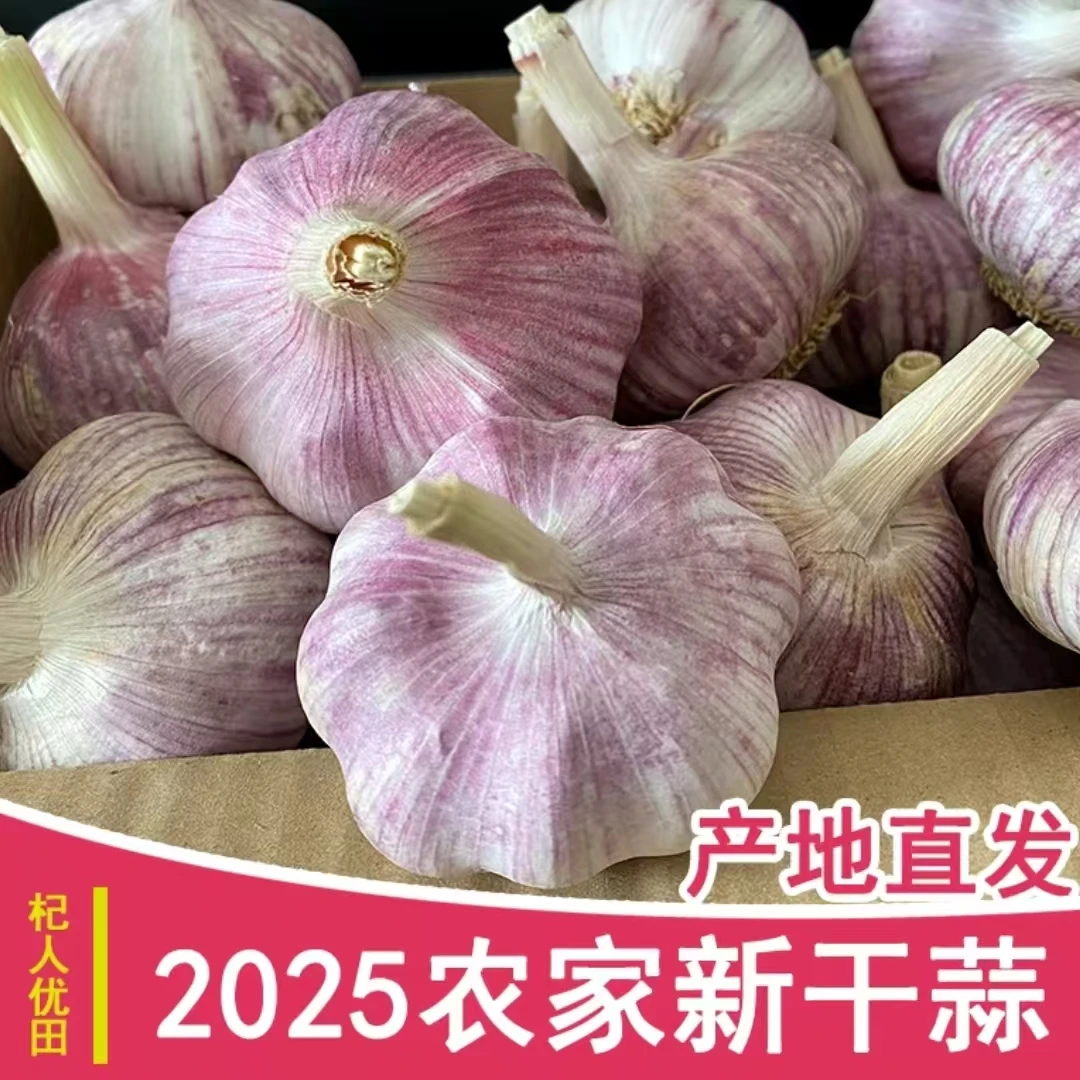 2025年干大蒜新大蒜便宜大蒜干蒜头多瓣蒜紫皮大蒜整箱批发lc