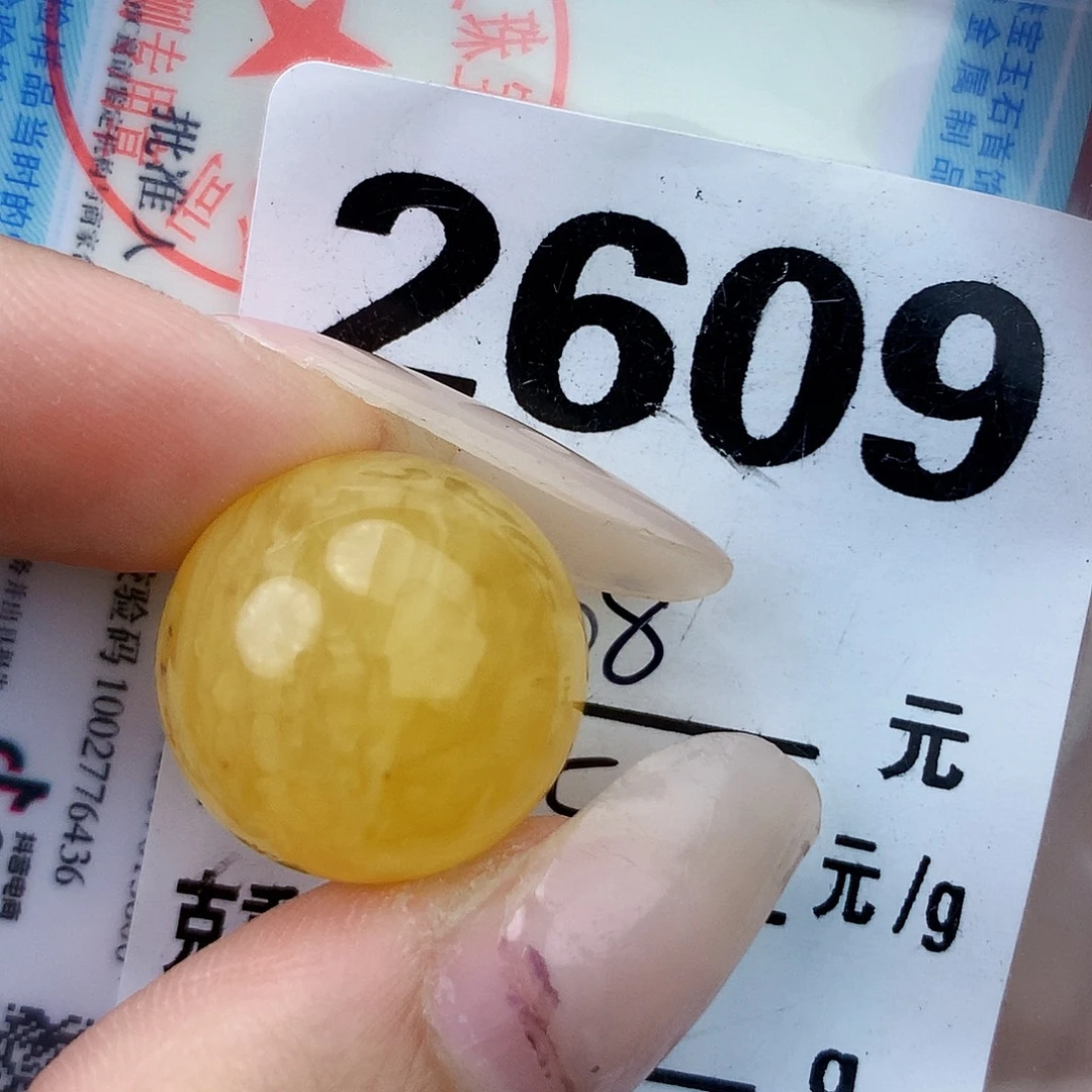 琥珀未镶嵌珠宝奇石17.5植物