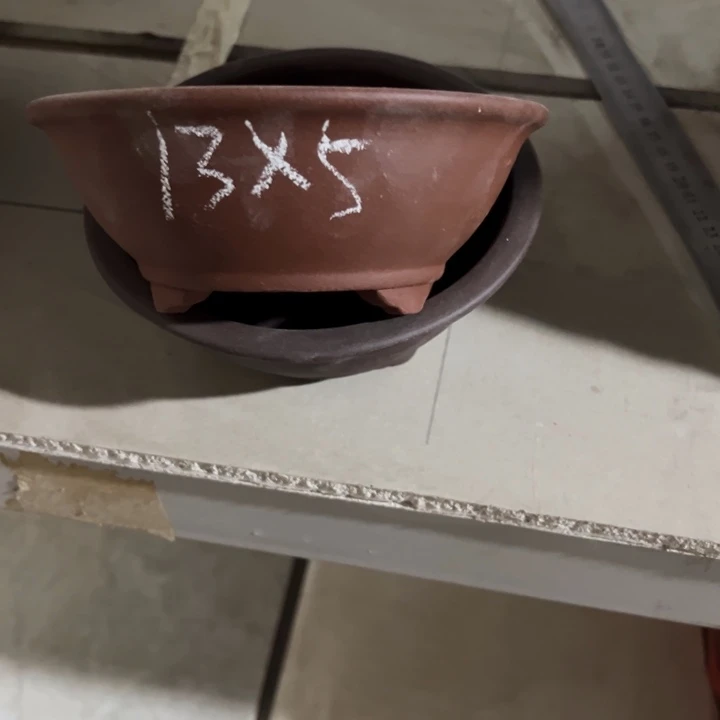 呜呜呜太好看太好看花