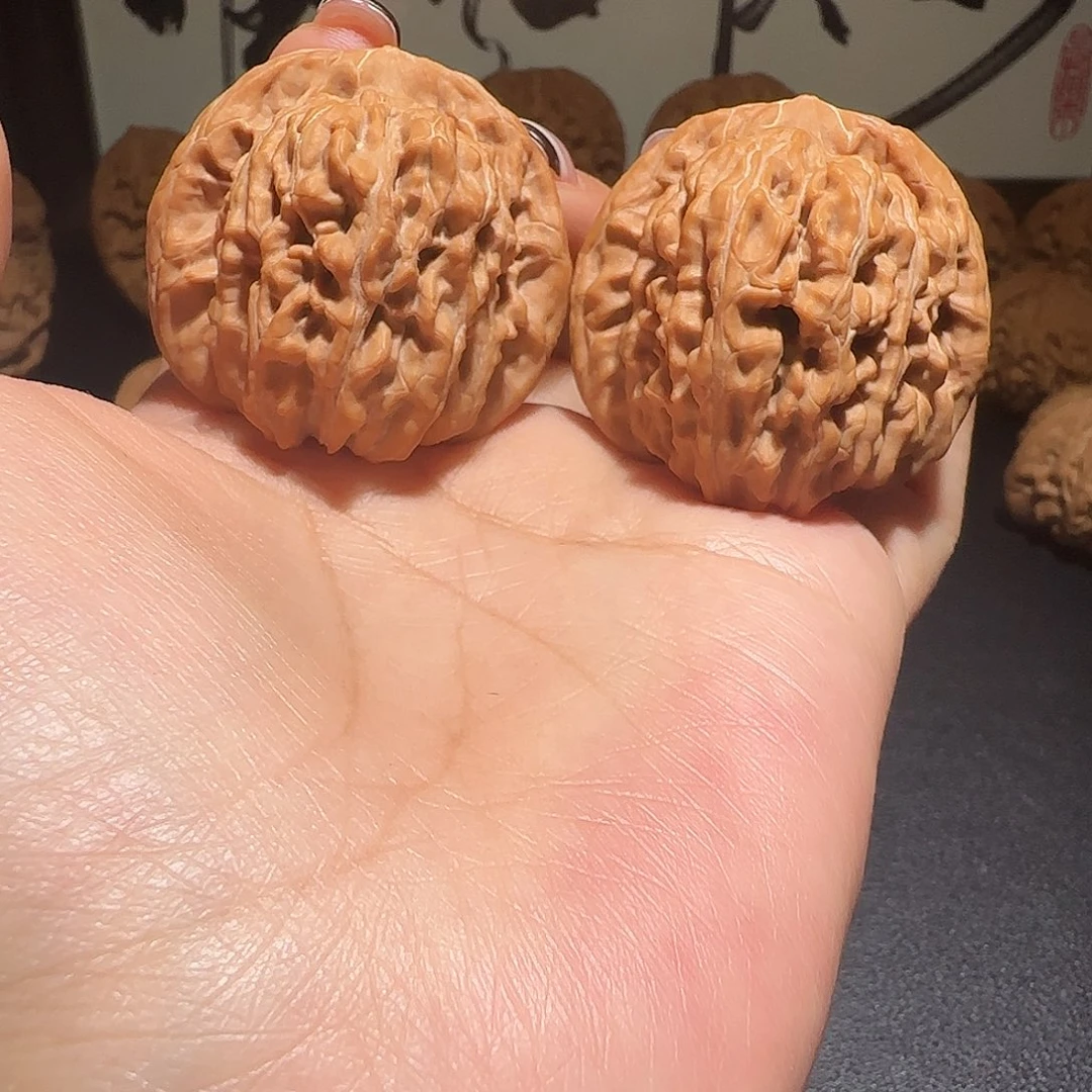 核桃全品无修蓟县楼