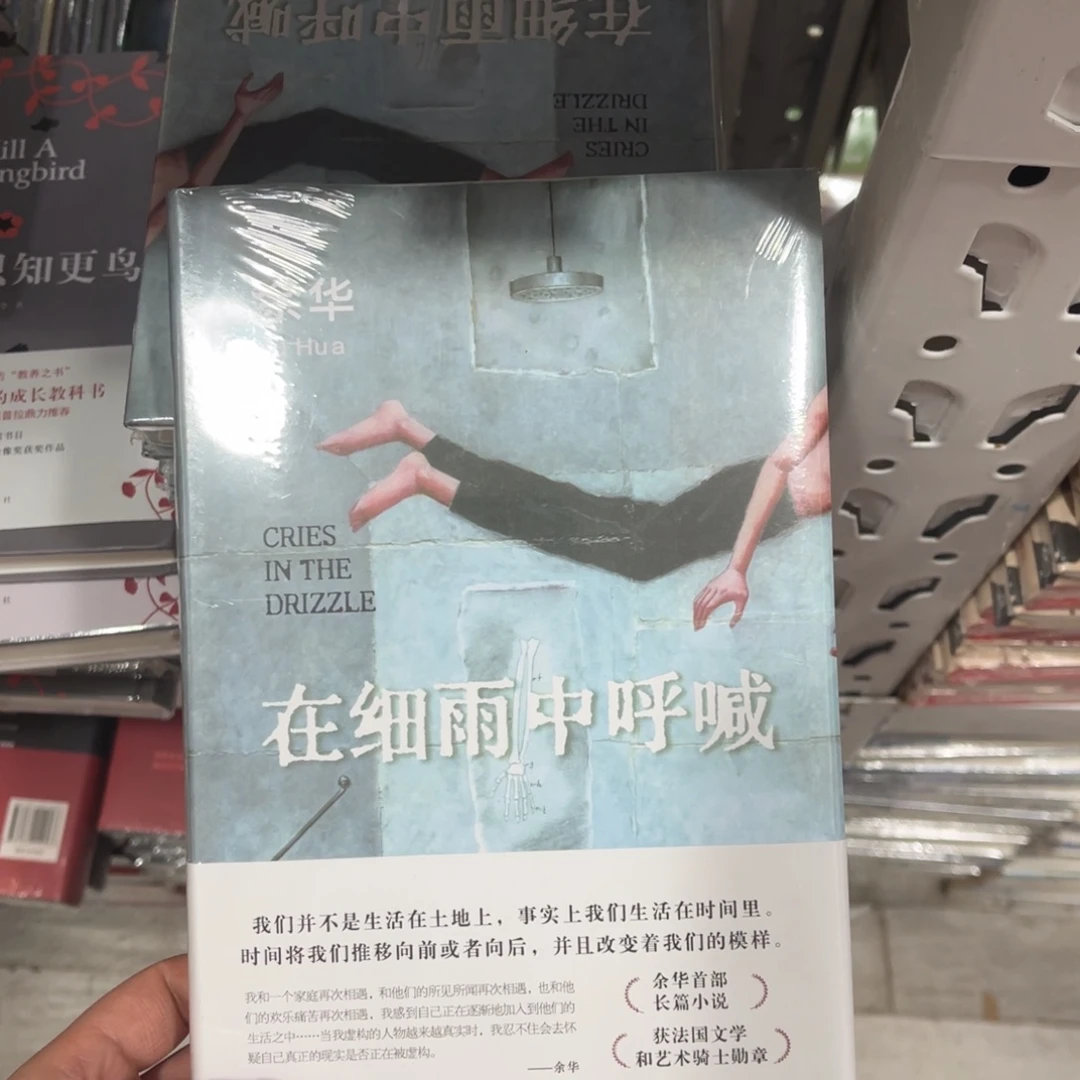 在细雨中呼喊精装