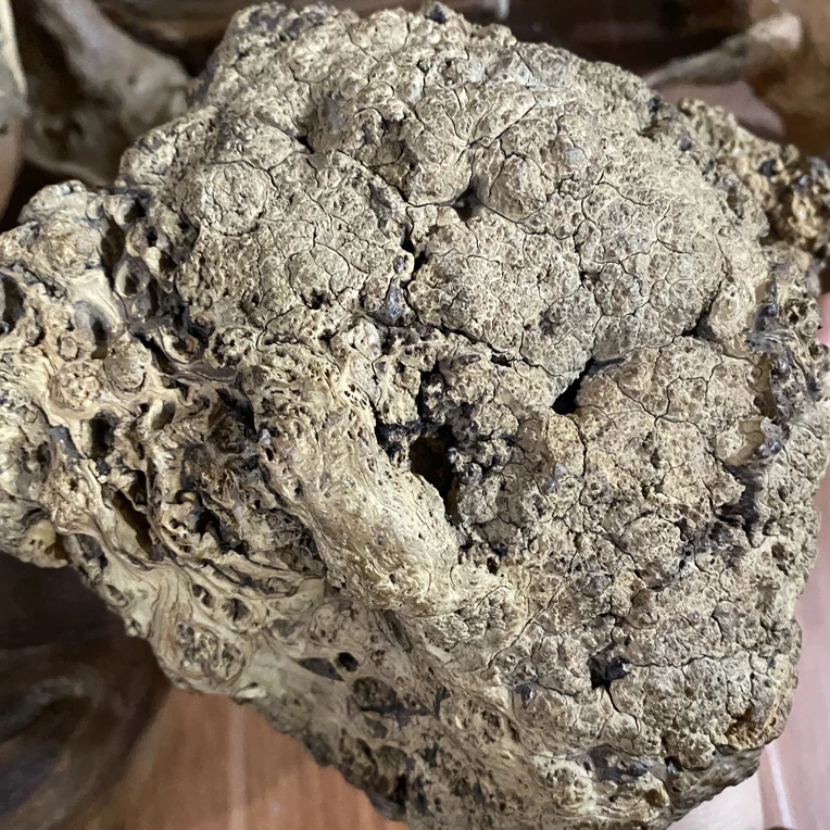 极品收藏太行崖柏陈化千年满天星纯缨子变异榴 千年古董木质沧桑