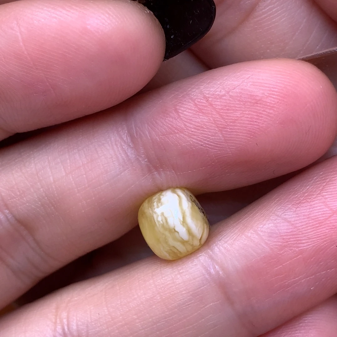 琥珀未镶嵌裸石蜜蜡8.8