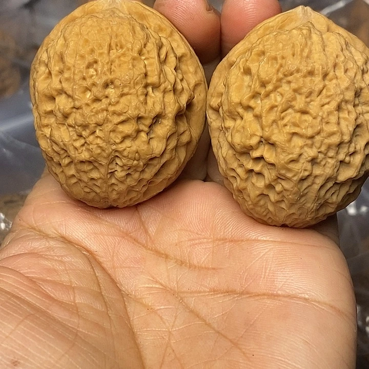 把件文玩核桃云南铁核桃27