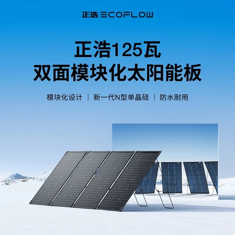 ECOFLOW/正浩正浩EcoFlow 125瓦双面模块化太阳能板 电池光伏发电