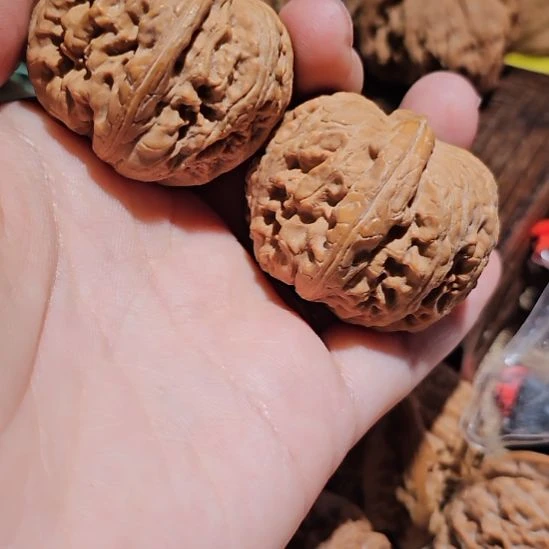 吊坠文玩核桃40元宝