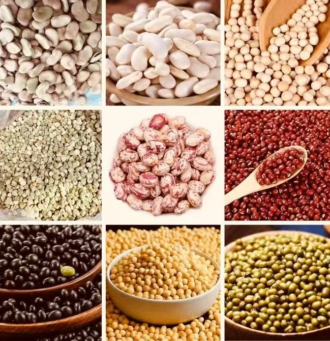 广西博白特色农特产（无售后谨慎下单）