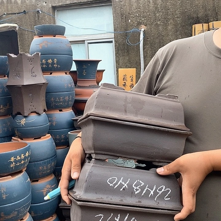 紫砂花盆盆栽观赏