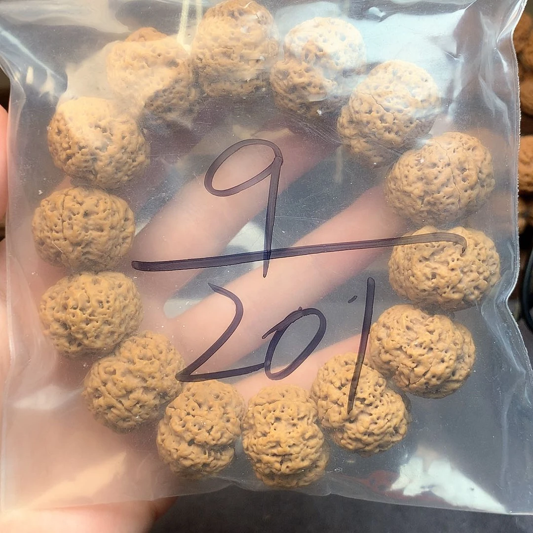 金刚菩提吊坠R*y9/////