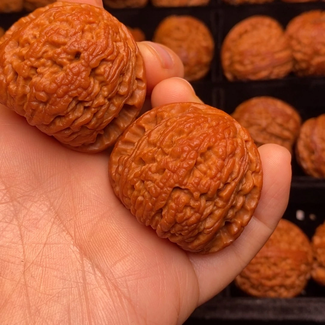 秦岭野生文玩核桃