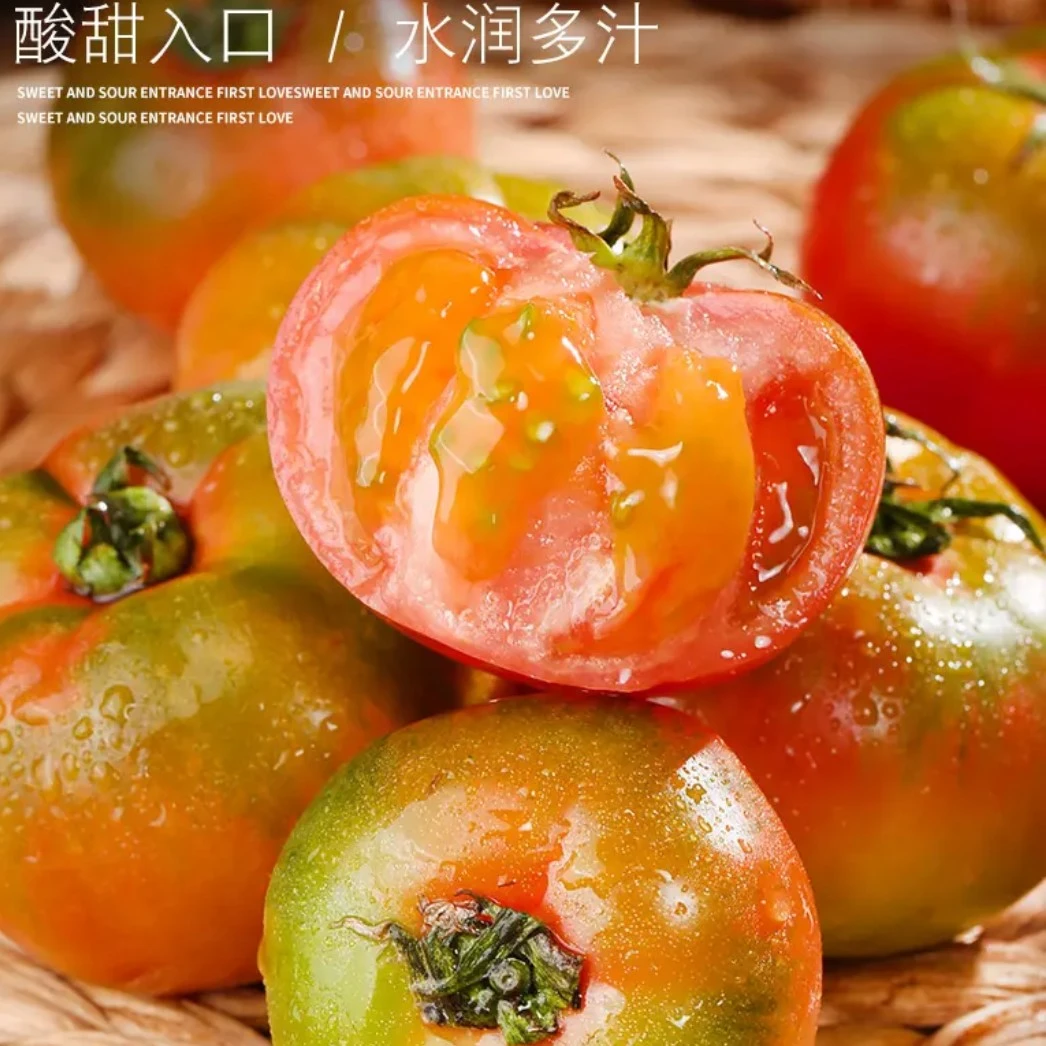 草莓西红柿口感西红柿酸甜可口小时候味道